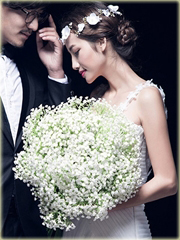 Gipsówka mix biała, różowa, fioletowa